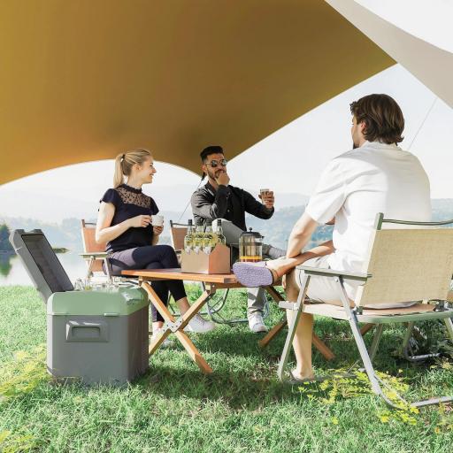 Nevera Portátil Eléctrica 24,2L Refrigerador de Coche 12V-220V -20℃ a +20 ℃ con Pantalla Luz LED 60,2x33,4x41,4 cm Gris