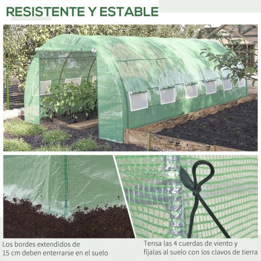 Invernadero de Túnel 6x3x2 m con Puerta y 12 Ventanas de Malla Enrollables Invernadero de Huerto para Patio Jardín Verde [4]