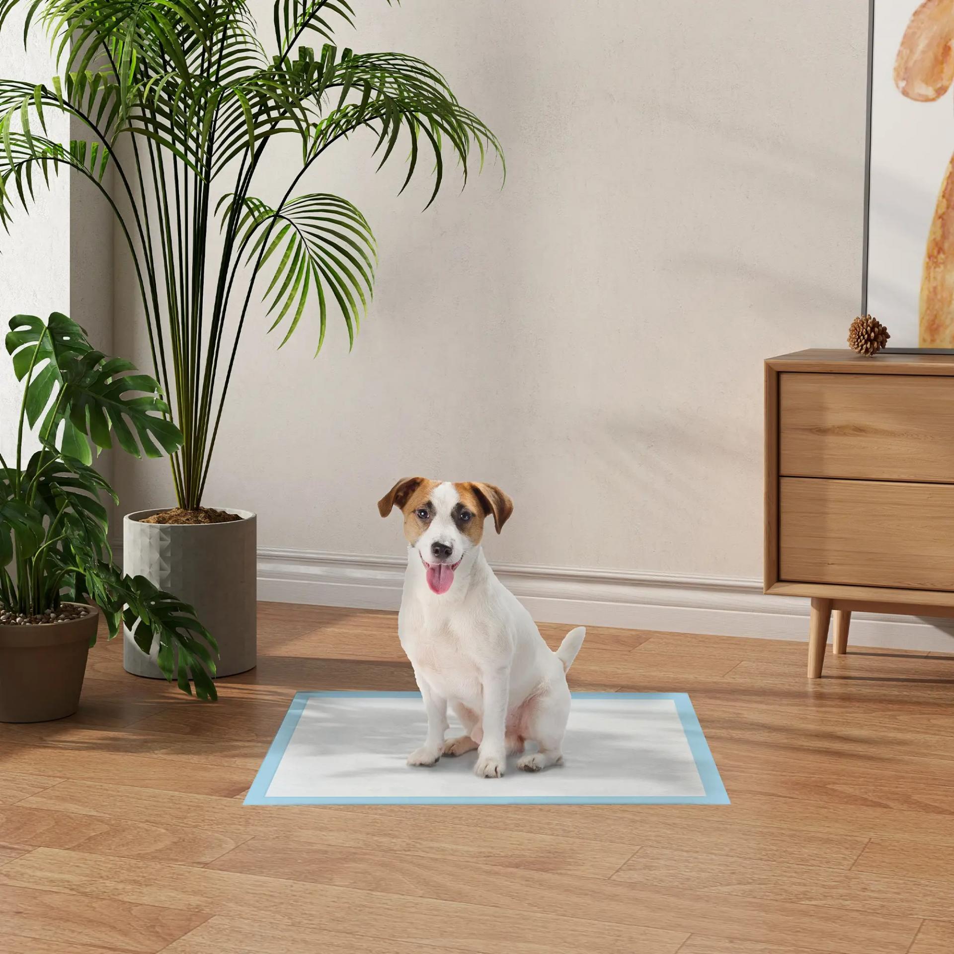 Empapadores para Perros 100 Unidad 45x60 cm Diseño de 6 Capas con Superficie de Secado Rápido a Prueba de Fugas Azul