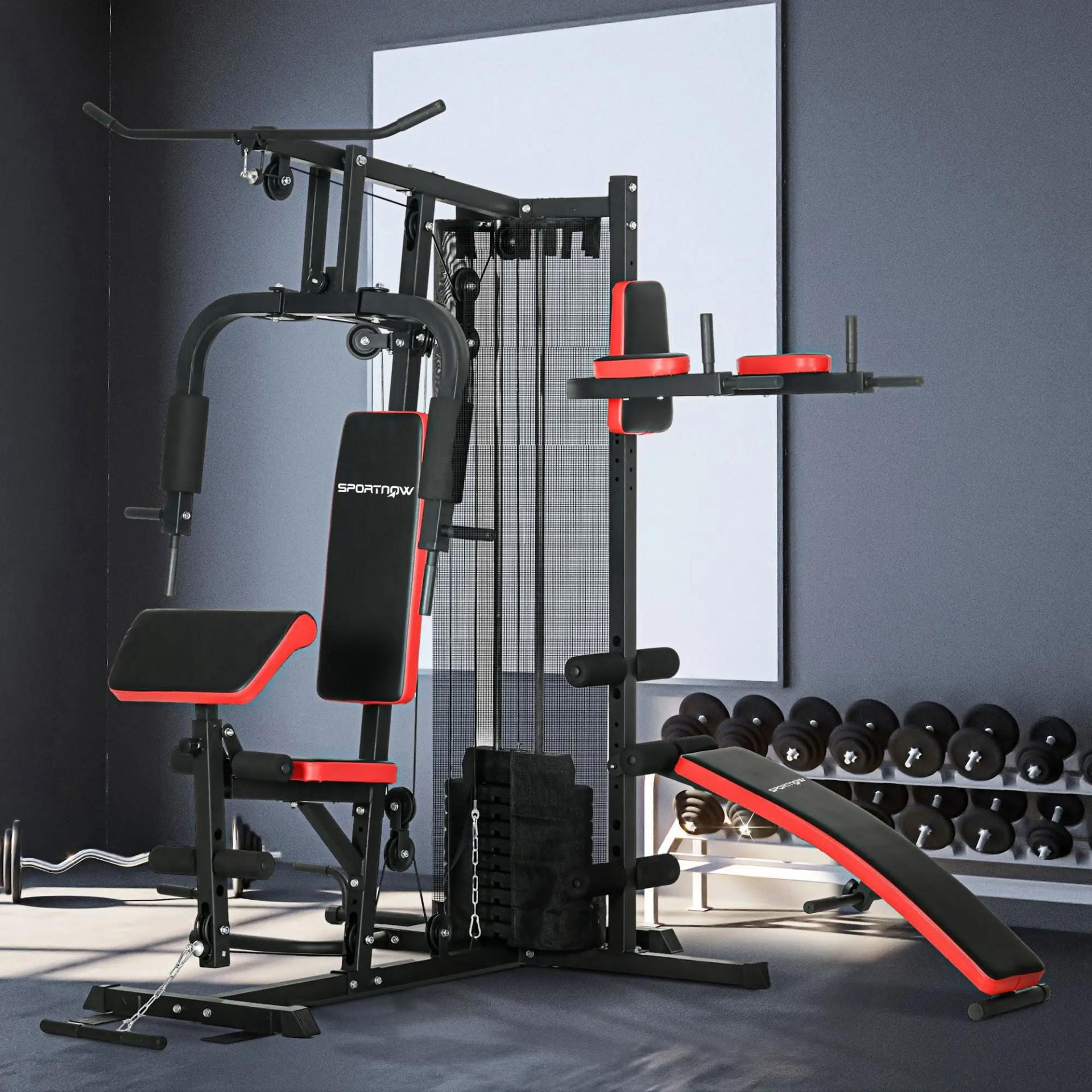 Multiestación de Musculación con Placas de Peso de 45 kg Carga Max. 110 kg para Entrenamiento 225x175x200 cm Negro