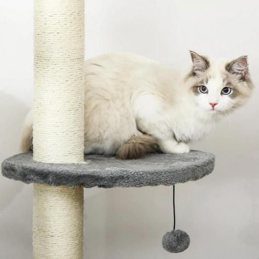 Árbol Rascador para Gatos Rascador para Fijar al Techo Altura 255 cm con Plataformas Cueva Postes de Sisal Bolas Colgantes Gris Claro [2]