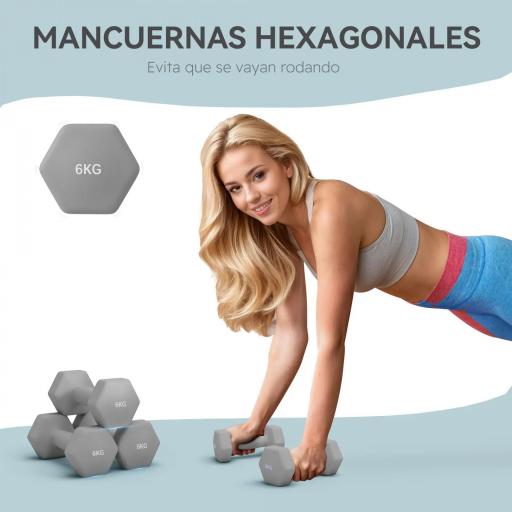 Juego de 2 Mancuernas Hexagonales de 2 x 6 kg de Metal Recubiertas en Plástico para Entrenamiento en Casa Gimnasio Gris [3]