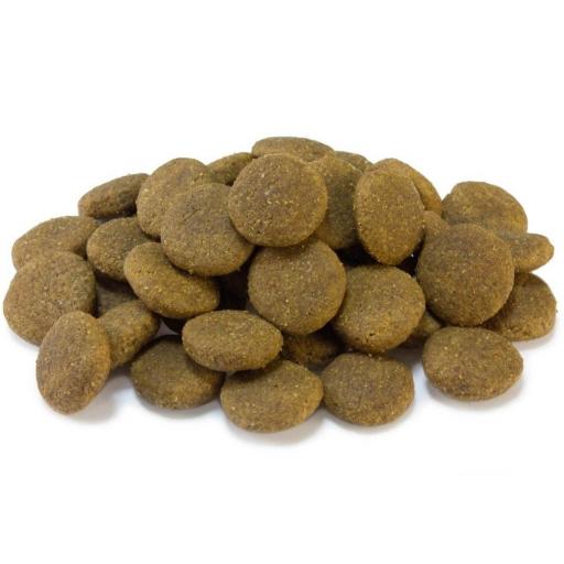 Alimento Super Premium de Pollo y Arroz para perros de razas grandes (carne fresca) [1]