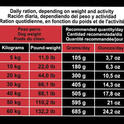 Alimento de Cerdo Ibérico y Arroz - Original [3]