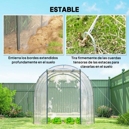 Invernadero de Túnel 3x2x2 m con Puerta Enrollable 2 Ventanas de Malla y Estructura de Acero Transparente [2]