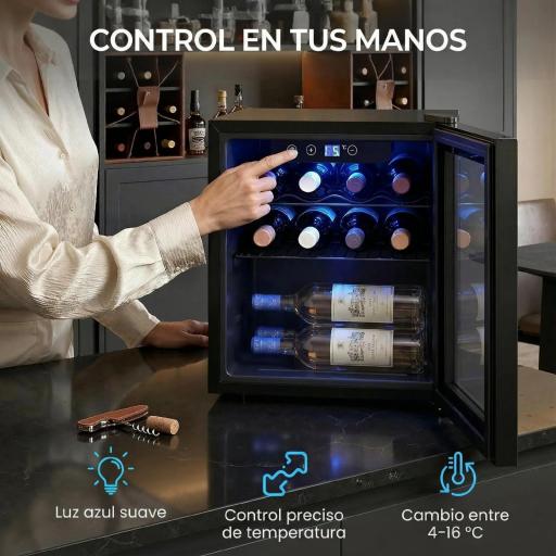 Vinoteca 12 Botellas Nevera para Vinos con Capacidad de 36 L Temperatura Ajustable 4-16℃ Puerta de Vidrio Luz LED Negro [6]