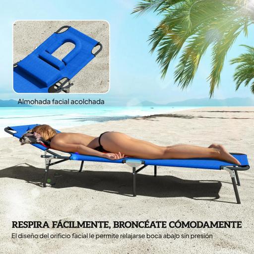 Tumbona Plegable con Respaldo Regulable en 4 Posiciones Tumbona de Jardín con Orificio de Lectura Almohada Marco Metálico y Tela Oxford para Playa Terraza Carga 120 kg 190x56x28 cm Azul [3]