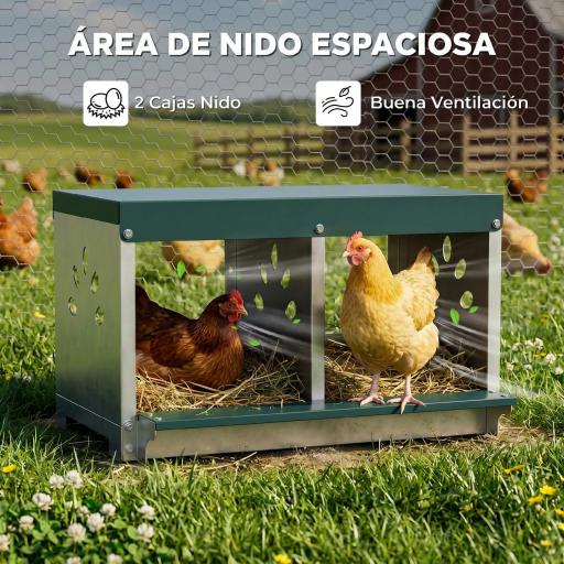Ponedero para Gallinas de Acero Galvanizado con 2 Huecos para 2 Gallinas con Techo Impermeable y Ventilación Plateado y Verde [5]