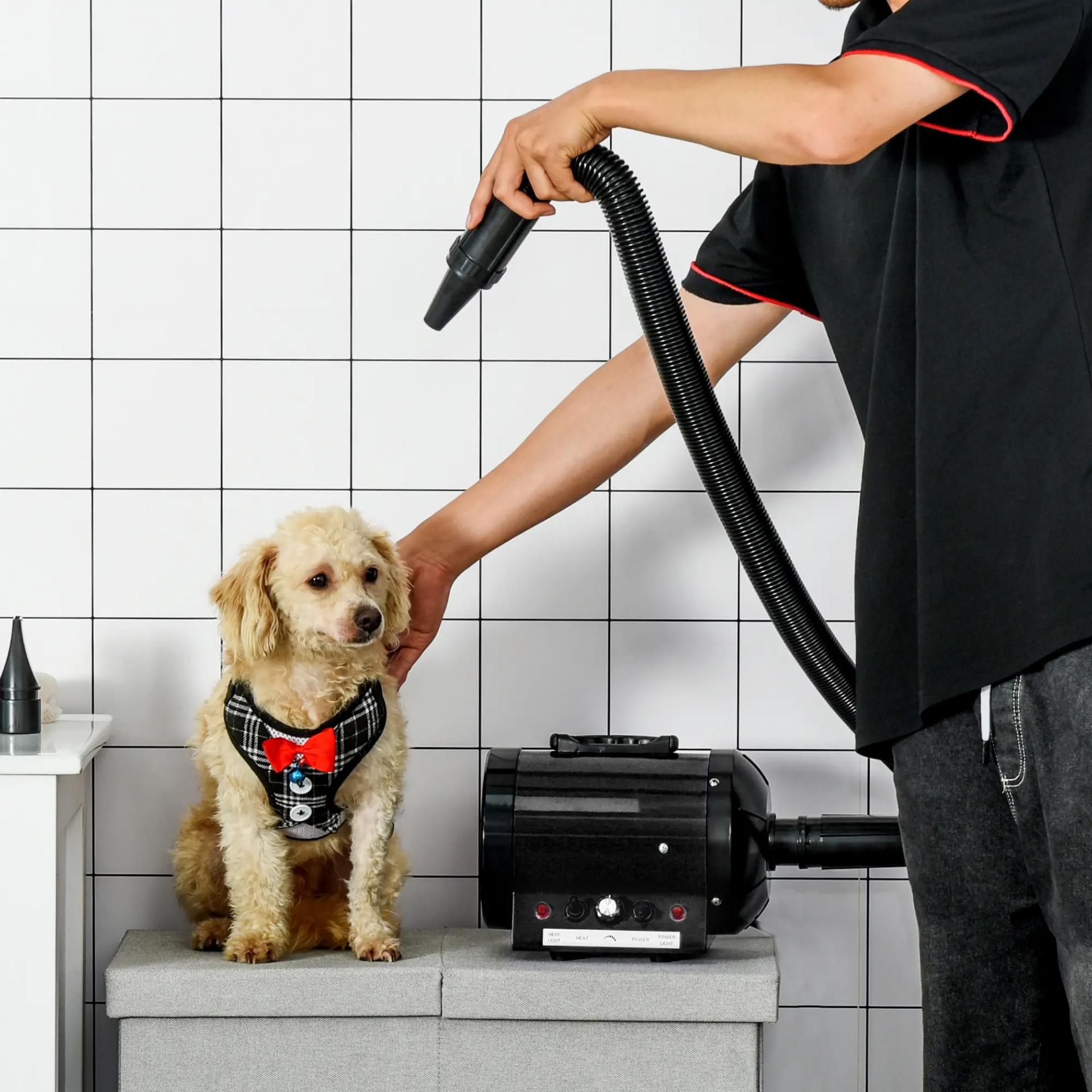Secador de Pelo para Perros 2800W Secador para Mascotas con Temperatura y Velocidad del Viento Ajustable 3 Boquillas Tubo Flexible 2,1 m y Asa Portátil 40x16x20 cm Negro