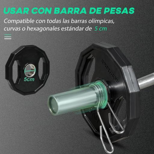 Conjunto de 2 Discos de Pesas de 5 kg con Orificio de 50 mm para Entrenamiento de Fuerza Ø24x3,5 cm Negro [2]