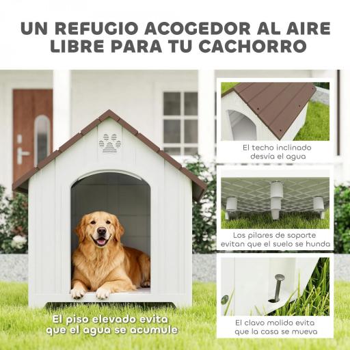 Caseta para Perros Exterior Casa para Perros Grandes de Plástico con 2 Ventanas Base Elevada Estacas Marrón Oscuro [7]