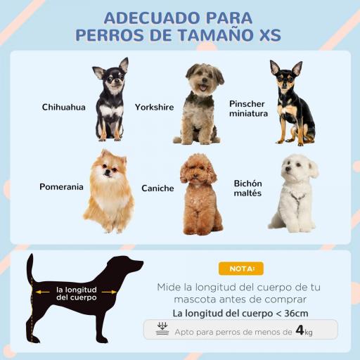 Caseta para Perros Mini para Exterior de Plástico con 3 Ventanas Base Elevada Techo Inclinado 64,5x57x66 cm Gris Oscuro [5]