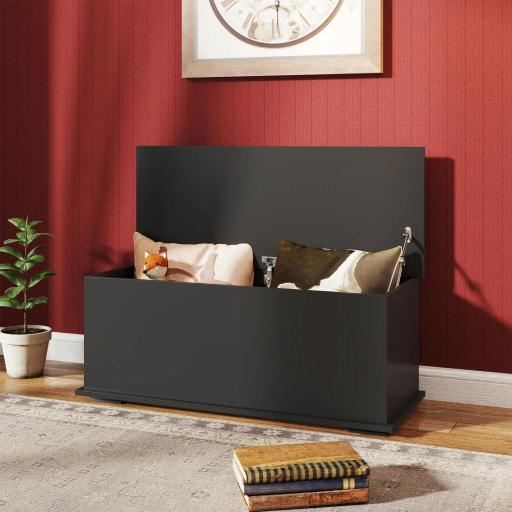 Arcón de Almacenamiento con Tapa Carga Máx. 120 kg para Dormitorio Salón 100x40x40 cm Negro