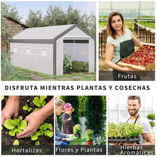 Invernadero de Jardín 600x300x280 cm Invernadero de Túnel para Cultivo de Plantas Verduras con 2 Puertas 6 Ventanas Enrollables y Cubierta de Polietileno PE 140g/m² Blanco [3]