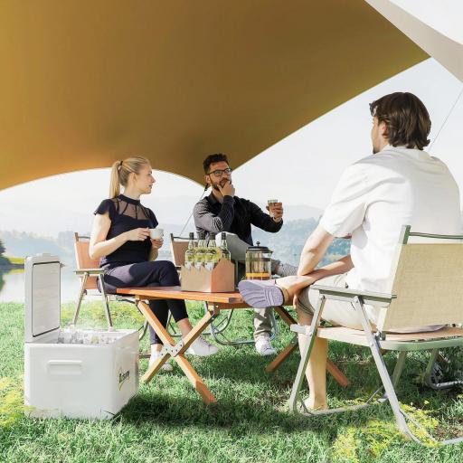 Nevera Portátil Eléctrica 16,8L Refrigerador de Coche 12/24/220V -20℃ a +20 ℃ con Pantalla Luz LED 59x32x26 cm Blanco