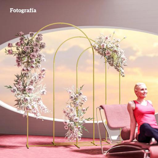 Set de 3 Arcos de Jardín para Rosas de Metal de 220/200/180 cm con Recubrimiento en Polvo para Patio Terraza Dorado [2]