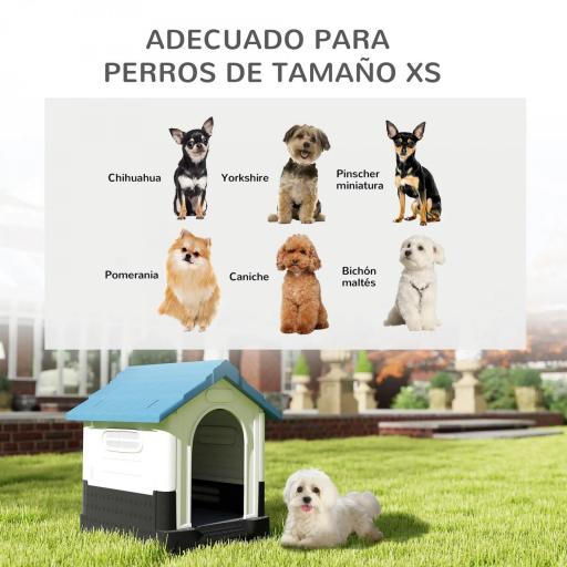 Caseta para Perros Mini para Exterior de Plástico con 3 Ventanas Base Elevada Techo Inclinado 64,5x57x66 cm Azul [5]