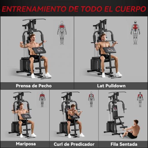Máquina de Musculación con Placas de Peso de 45 kg Carga Max. 100 kg para Entrenamiento Fitness en Hogar Gimnasio Negro [2]