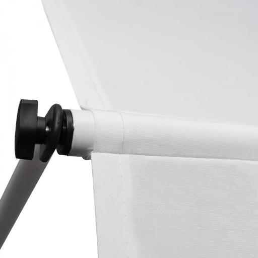 Toldo Manual Retráctil 300x150x170-280 cm con Altura Ajustable Manivela y Protección Solar para Terraza Blanco [5]