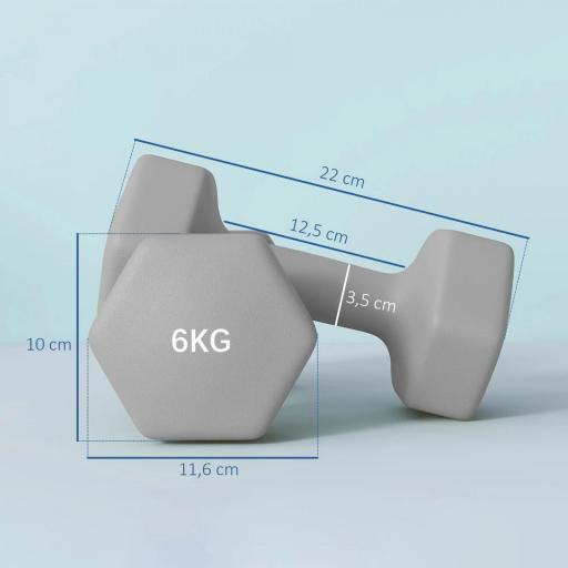 Juego de 2 Mancuernas Hexagonales de 2 x 6 kg de Metal Recubiertas en Plástico para Entrenamiento en Casa Gimnasio Gris [1]