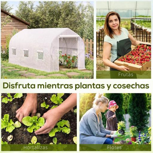 Invernadero de Jardín 4x2x2 m Tipo Túnel con 6 Ventanas Transpirables y Puerta Enrollable con Cremallera Huerto para Cultivo Plantas Verduras Blanco [5]
