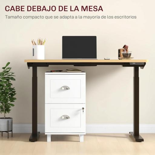 Archivador con Cerradura y 2 Cajones Barras Ajustables para Carpetas A4 y Carta Diseño Compacto 40x41,5x67,5 cm Blanco [3]