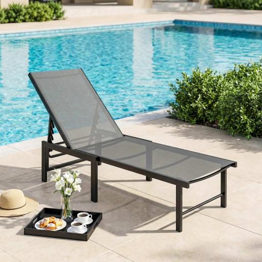 Tumbona Reclinable de Jardín Exterior con Respaldo Ajustable en 5 Posiciones y Marco de Acero 166x60x84 cm Gris [0]