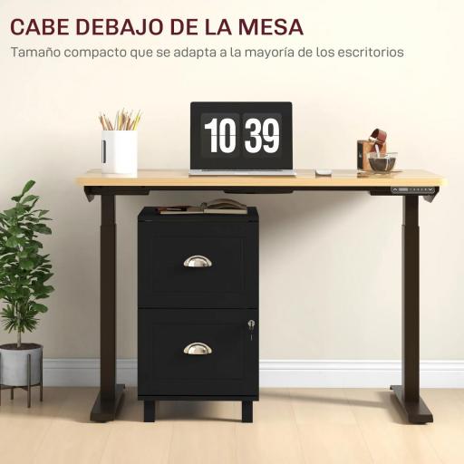 Archivador con Cerradura y 2 Cajones Barras Ajustables para Carpetas A4 y Carta Diseño Compacto 40x41,5x67,5 cm Negro [5]
