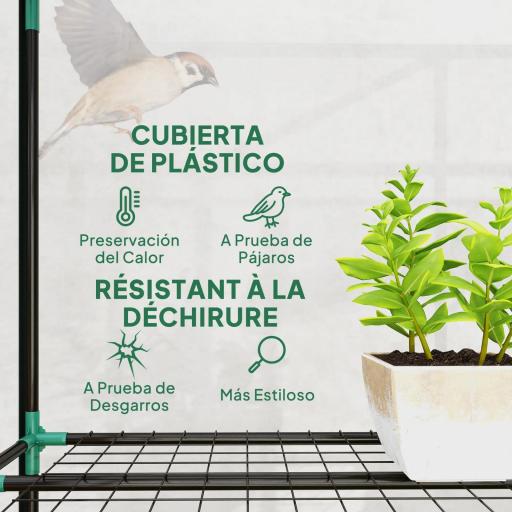 Invernadero de Exterior con Estantes de 3 Niveles Puertas con Cremallera y Marco de Acero 215x46x151 cm Transparente [2]