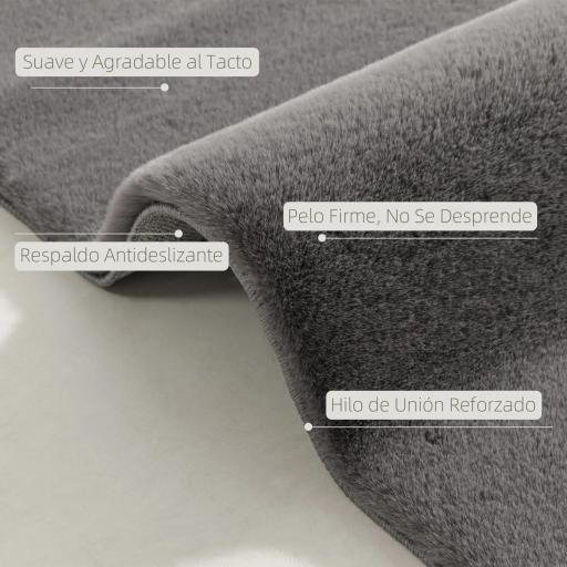 Alfombra Salón 120x160 cm Lavable en Lavadora Pelo Largo Estilo Moderno Tapete para Sala de Estar Dormitorio Gris Claro [2]