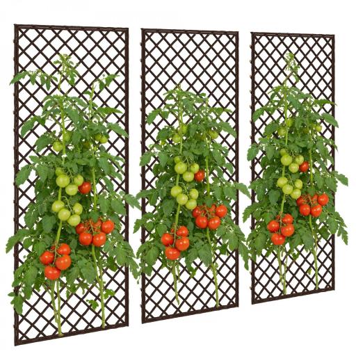 Juego de 3 Enrejados de Jardín de Mimbre Soportes para Plantas Trepadoras con Parte Superior Plana 43x112 cm Natural [8]