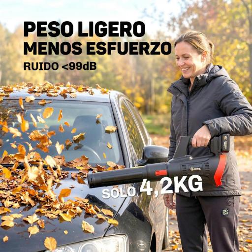 Soplador de Hojas Sin Cable 18V con 2 Baterías de 4.0Ah y Cargador Motor sin Escobillas 600W 3 Velocidades Negro [2]
