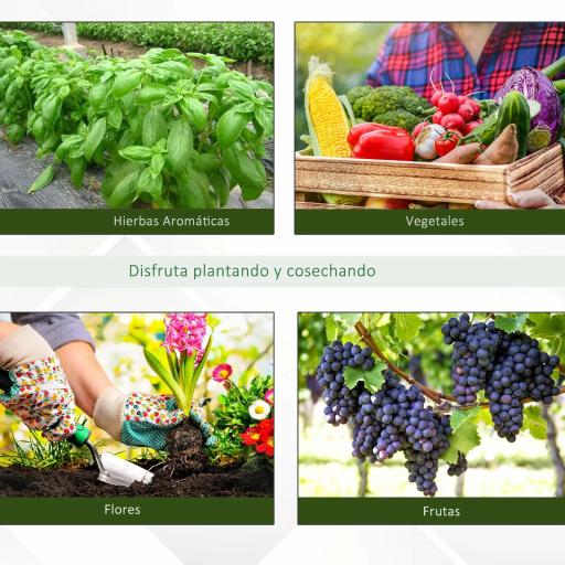 Invernadero de Exterior Invernadero de Túnel 8x3x2 m Invernadero de Jardín con 12 Ventanas y Puerta Enrollable para Cultivo Plantas Tomates Verduras Acero y PE 140 g/m² Blanco [5]