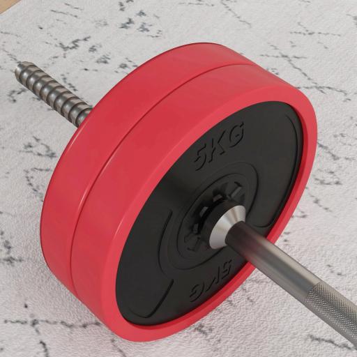 Set de Musculación con 1 Barra y 6 Discos Barra de Pesas 30 kg con Mancuernas para Entrenamiento 170x26x26 cm Rojo [8]