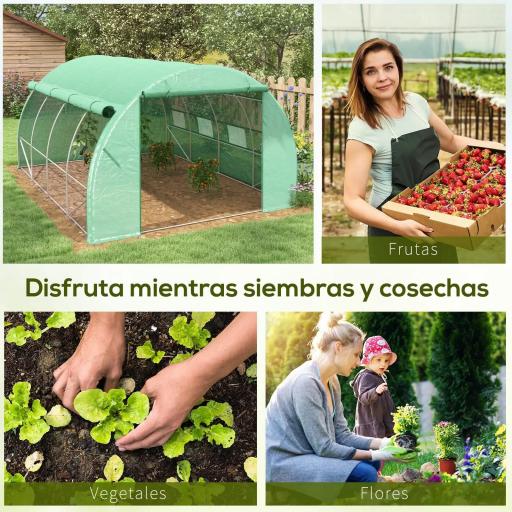 Invernadero de Túnel 4x3x2 m con Puerta y 8 Ventanas de Malla Enrollables Invernadero de Huerto para Patio Jardín Verde [4]