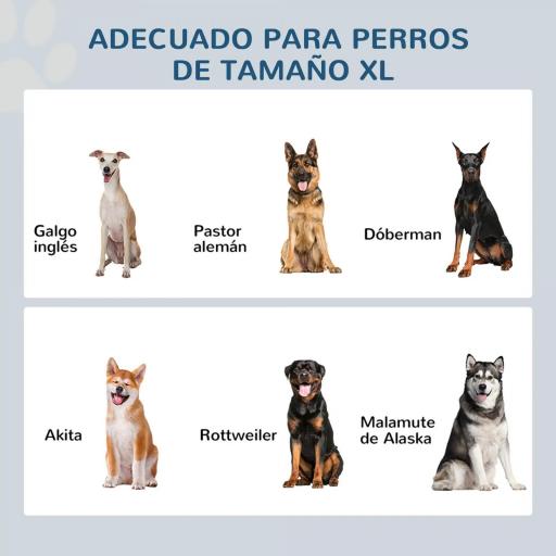 Cuencos para Perros con 2 Tazones de Acero Inoxidable y Espacio de Almacenaje Oculto 60x30x41 cm Blanco [2]