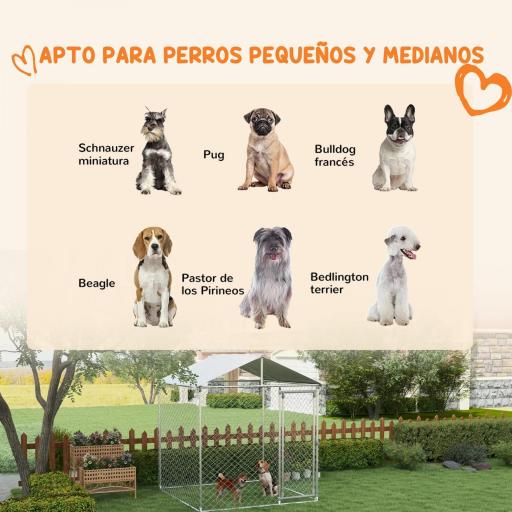 Jaula de Exterior para Perros Medianos con Cerradura Marco de Acero Toldo Impermeable y Anti-UV 200x200x237 cm Plata [2]