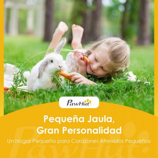 Conejera de Madera de 2 Niveles con Techo Asfáltico Bandeja Extraíble y Escalera para Exterior 150x45x85 cm Gris [7]