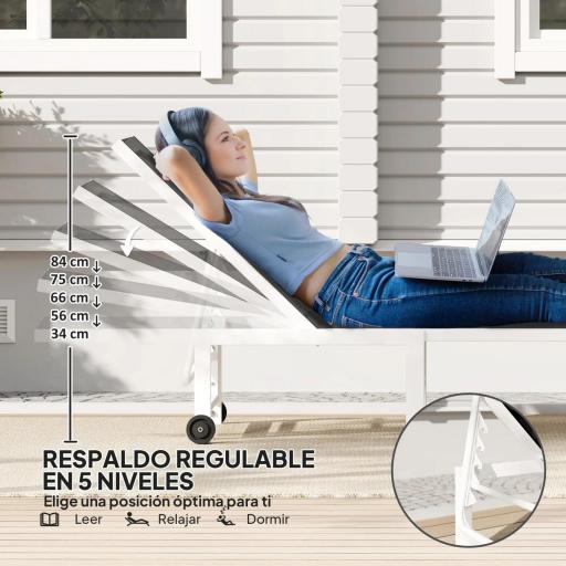 Tumbona Reclinable de Jardín Exterior con Ruedas Respaldo Ajustable en 5 Posiciones y Marco de Acero 166x60x84 cm Gris [2]