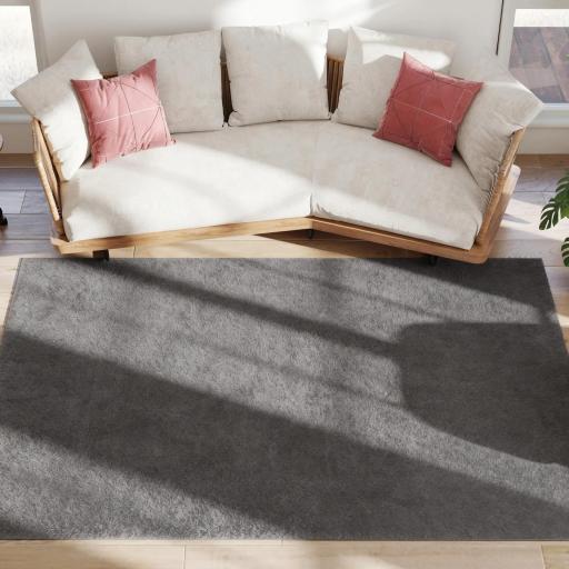 Alfombra Salón 160x230 cm Lavable en Lavadora Pelo Largo Estilo Moderno Tapete para Sala de Estar Dormitorio Gris Claro [9]