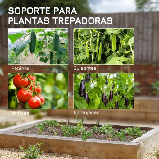 Soporte para Plantas Trepadoras de Jardín Triangular con Estructura de Acero para Frutas Verduras 180x100x180 cm Verde [4]