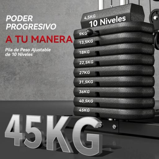 Máquina de Musculación con Placas de Peso de 45 kg Carga Max. 100 kg para Entrenamiento Fitness en Hogar Gimnasio Negro [1]