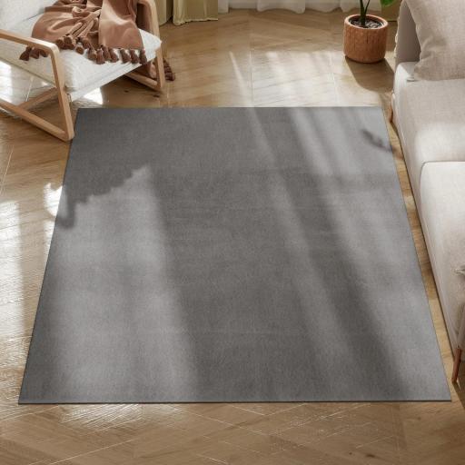 Alfombra Salón 120x160 cm Lavable en Lavadora Pelo Largo Estilo Moderno Tapete para Sala de Estar Dormitorio Gris Claro [6]