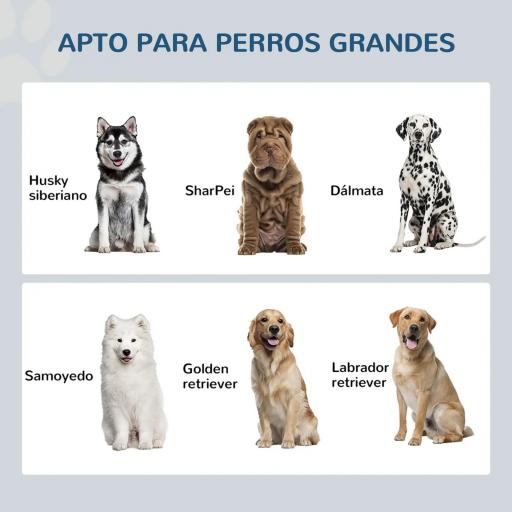 Comedero Elevado para Perros Grandes con 2 Cuencos de 2000 ml de Acero Inoxidable y 1 Cajón 63x30x36 cm Gris y Blanco [5]