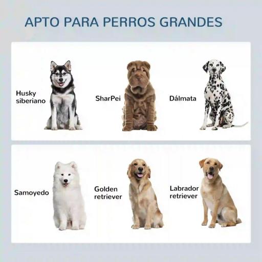Comedero Perro Elevado con Alimentador Lento Extraíble Comedero y Bebedero de Acero Inoxidable Roble [6]