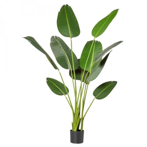 Planta Artificial Bananera de 160 cm con Maceta y 10 Hojas Realistas Planta Tropical Sintética para Decoración en Interior y Exterior Oficina Hogar Verde [2]