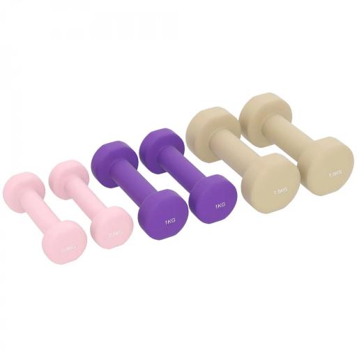 Juego de 6 Mancuernas Hexagonales de 1,5kg 1kg y 0,5kg con Revestimiento de PU con Maletín 43x18x7,5 cm Multicolor [8]