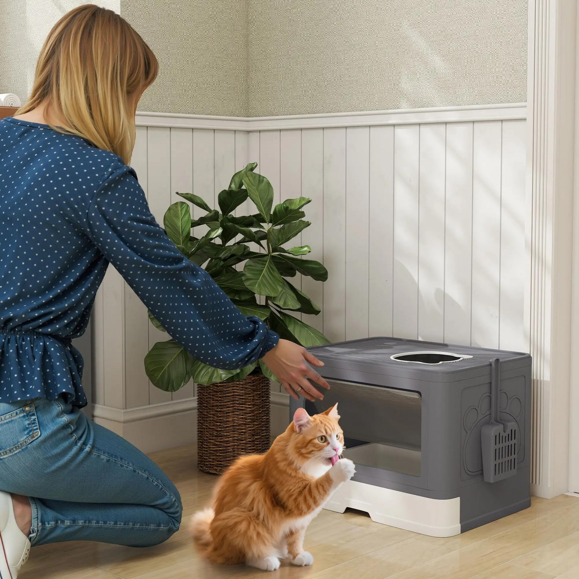 Arenero para Gatos Cubierto con Pala Cepillo 2 Puertas Entrada Principal y Salida Superior 48,5x38x36,5 cm Gris