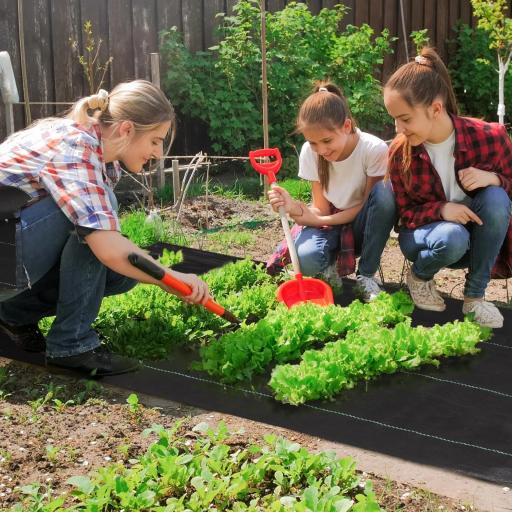 Malla Geotextil 2x25 m Malla de Jardín contra Malas Hierbas 60 g/m² Rollo de Malla Antimaleza Negro