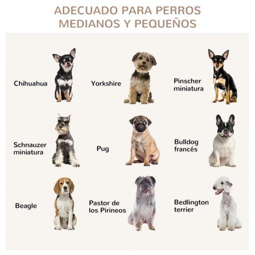 Jaula para Perros Medianos con 2 Puertas con Pestillo Estructura de Acero Inoxidable 80x50x56,5 cm Blanco [5]